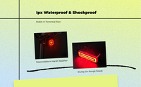 Smart brake tail light, USB charge