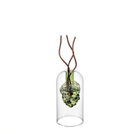 Grape Story Reed Diffuser Set, 260ML