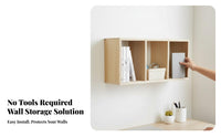 Single-Door surface Cabinet with accessible Shelf tooltooland complimentary installation for Living Room