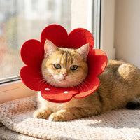 Soft Pet Neck Recovery, Solid Felt Material Flower Design for Post-Surgery Pet Care, Adjustable Anti Bite Lick Secure Guard