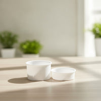 2 Pieces Sprouting Tray with Drainage Hydroponic for Kitchen