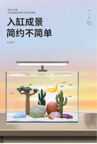 跨境仿真仙人掌鱼缸造景水草摆件水族箱沙漠微景观装饰品彩石套餐