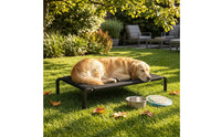 Raised Mesh Dog Cot Curved Legs Elevated Pet Cot Mesh Pet Bed Sturdy