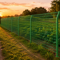 Fence, Outdoor, Mesh Panel, Wire Mesh, 90x170mm Mesh Size, 3.0mm Wire Diameter, Double Wire, Low Carbon Steel, Dark Forest Color
