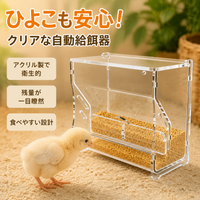 Transparent Bird Feeder, Wild Bird Feeder, Window, For Observation, Plastic, Bird, Food Container