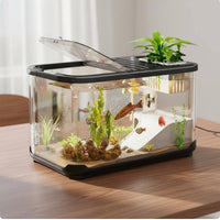 Natural Aquatic Landscape Aquarium Complete Design Small Aquarium Kit Air Pump