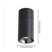 Adjustable anti-glare LED spotlight