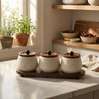 3 Pieces Ceramic Condiment Jar Set Matte Tableware Storage Short Feet