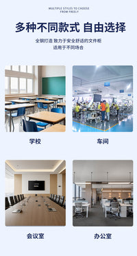 办公室文件柜钢制档案资料柜储物收纳柜铁皮柜子财务室凭证柜带锁