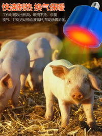 智牧人养殖暖风灯宠物暖风灯家禽温度灯小鸡育雏保温灯兽用空调灯