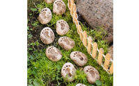 20 Pieces Paw Print Stepping Stone DIY Decoration for Flower Pot, Terrarium
