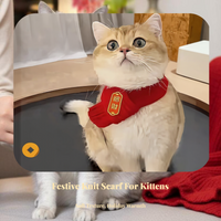 Cat Scarf, Red Knitted Pet Accessory, Cute Winter Wear