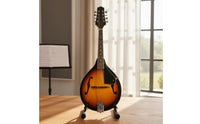 8-String Mandolin 8 String Mandolin Lightweight Body Plucked Instrument for Beginners