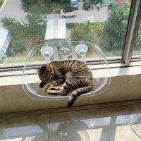 Cat Hammock Window Cat Perch with Transparent Dome, 3 Strong Suction Cup Bed for Indoor Pets, Sturdy Non-Foldable Elevated Sunbathing Seat