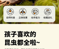 跨境儿童仿真昆虫模型立体益智动物玩具早教认知男孩礼物螳螂发条