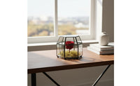Hexagonal Glass Box Hinged Lid Glass Terrarium Case Lidded Display Box Multipurpose Vintage Design Jewelry Organizer for Desktop