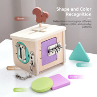 Montessori Wooden Object Permanence Box and Shape Sorter Set