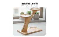 Multi-Level Succulent Rack Staggered Levels Multi-Tier Tabletop Stand for Desk