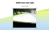 Xenon Headlight Bulb, Ultra Bright, Universal, Polar White