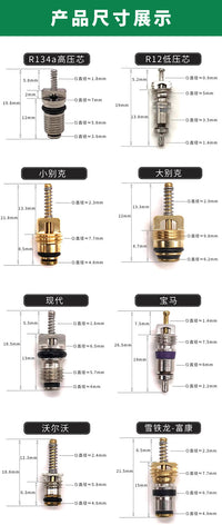 R134a Automotive AC Valve Core for Buick, Audi, Citroen, Peugeot, Sagitar (Assorted)