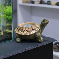 Resin Turtle Statue Planter Hand-Painted Garden Decor Unique Gift for Gardeners