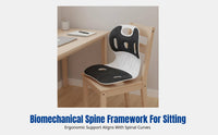 Lumbar Support Seat Pad, Ergonomic Posture Chair, Students, Office