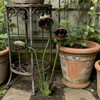 Metal Venus Flytrap Stake Rust-Resistant Carnivorous Plant Stake Handmade