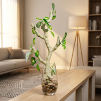 Jumping Arachnid Enclosure Accessories, Flexible Positioning Arboreal Branches for Decoration, 45cm Reptile Habitat Plant