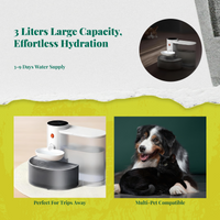 Large filtered pet water dispenser