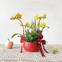 New Year Flower Pot Festive Shallow Cactus Planter Textured Surface