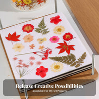 Multi-Layer Botanical Press DIY Crafts Flower Drying Kit Preserves Color