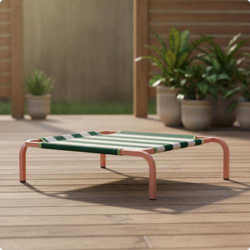 Breathable Raised Dog Bed Long-Lasting Portable Pet Cot Easy to Clean for Summer