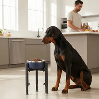Stainless Steel Adjustable Elevated Dog Bowl Stable Raised Dog Bowl for Dogs, Home
