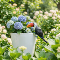 Resin Toucan Colorful Toucan Ornament Detailed for Balconies, Patios