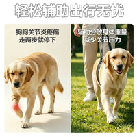 狗狗辅助带老龄犬上楼腿部背带走路狗腿护残疾疾复带跨境代发XJ