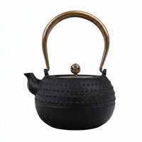 Cast Iron Teapot Traditional Japanese Tetsubin Easy to Clean