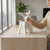 Abstract Human Figurine Creative Design Abstract Figure Statue Matte Finish Minimalist Figurine Available Office, Entryway, Living Room