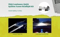Xenon bulbs, waterproof, plug & play