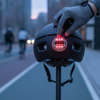 Bicycle Helmet Accessories: Tail Lights, Liners, Visors, and Lenses