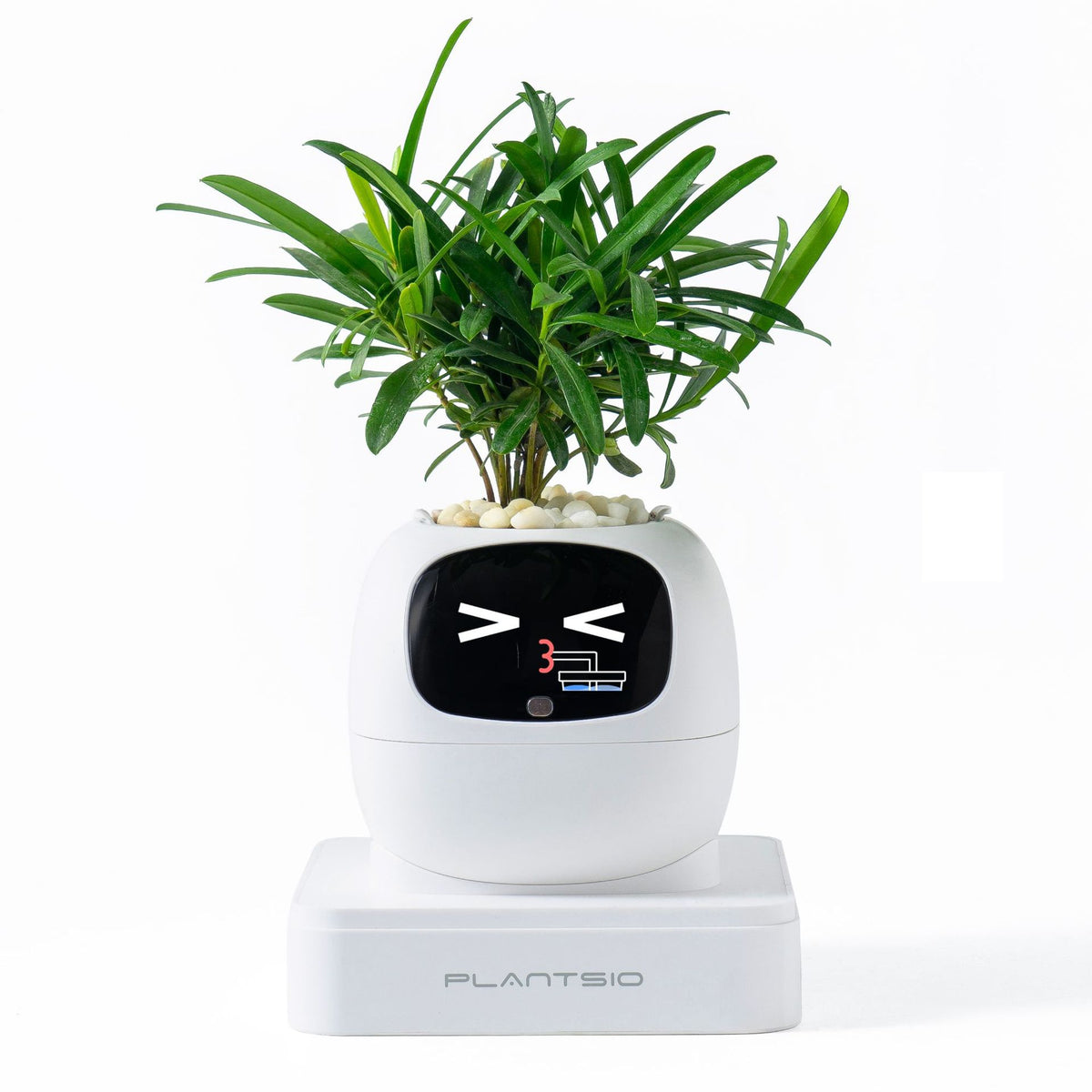 IVY Plant Pet Robot Smart Flower Pot Desktop AI Toy