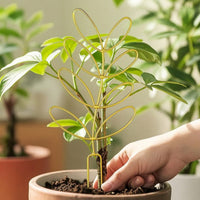 Decorative Potted Plant Trellis Indoor Metal Plant Trellis Rust-Resistant Hardware Lightweight