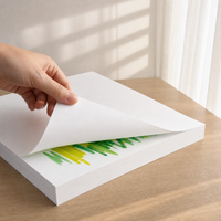 4K White Cardboard Art Paper 300g 8K Hard Cardboard 4-Open White Cardboard Large Sheet A4 Thick Hard Paperboard