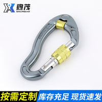 Aluminum Alloy D-Shape Carabiner with Lock for Climbing and Rescue