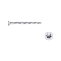 T30 Torx concrete screw for masonry