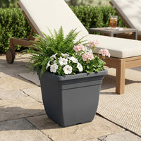 Planter, Indoor, Houseplant Pot, Square, Deep Space Gray, Plastic, With Drainage Holes, Saucer Set