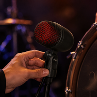 Condenser Microphone, Super Cardioid, XLR Connection, For Instrument Practice, Live Streaming, Recording Microphone Kit
