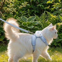 Vest Style Harness and Leash Set, Textile Pet Vest Harness, Cat Vest Harness for Outdoor Walking, Adjustable Small Pet Gear