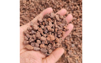 Red Volcanic Rock Cultivates Beneficial Red Volcanic Rock Aquascaping Volcanic Stone Natural Bio-Filtration for Potted Plants