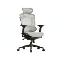 Ergonomic Chair with Headrest Breathable spinerest for Gaming Setup, Workstation