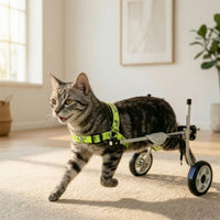 Lightweight Dog Wheelchair Long-Lasting Dog Wheelchair with Harness Stable Pet Mobility Aid Easy to Assemble for Disabled Pets